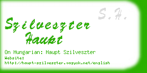 szilveszter haupt business card